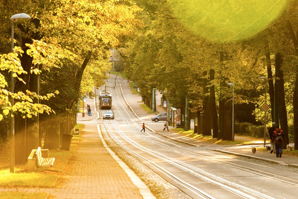 Byt 101 - Březová alej