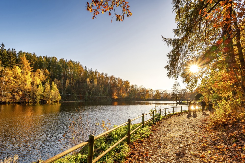 Byt 101 - Březová alej