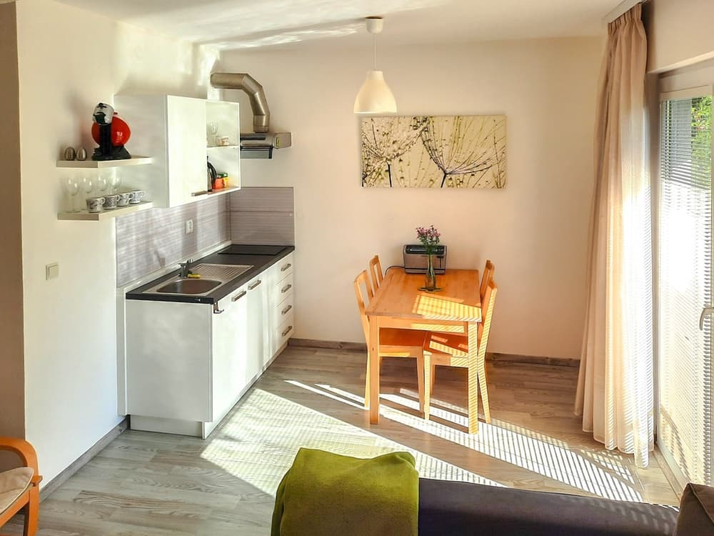 Pronájem prostorného 1+kk s útulnou předzahrádkou