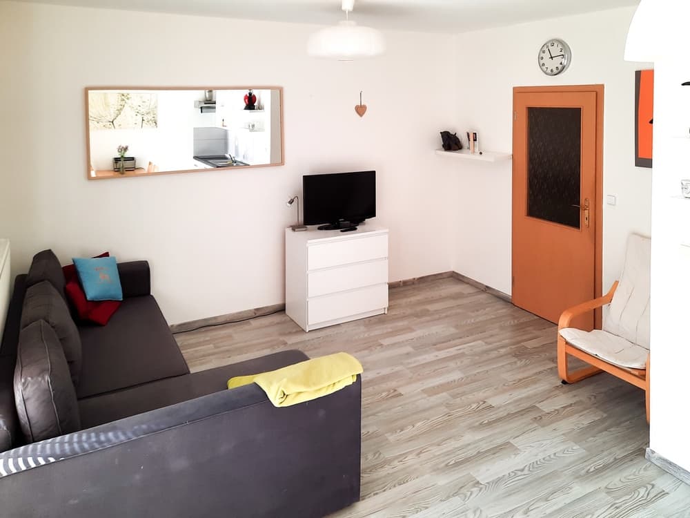 Pronájem prostorného 1+kk s útulnou předzahrádkou