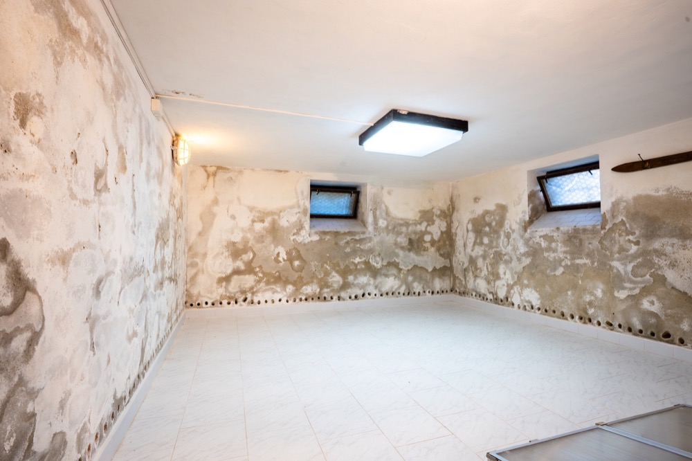 Vícegenerační rodinná vila 320 m² s garáží, bazénem a udržovanou zahradou