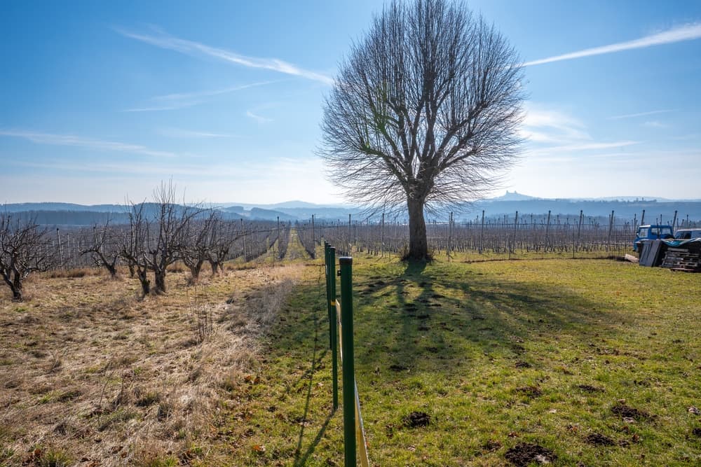 Stavební pozemek 5316 m² v obci Tatobity na úpatí nejvyšší hory Českého ráje Kozákova