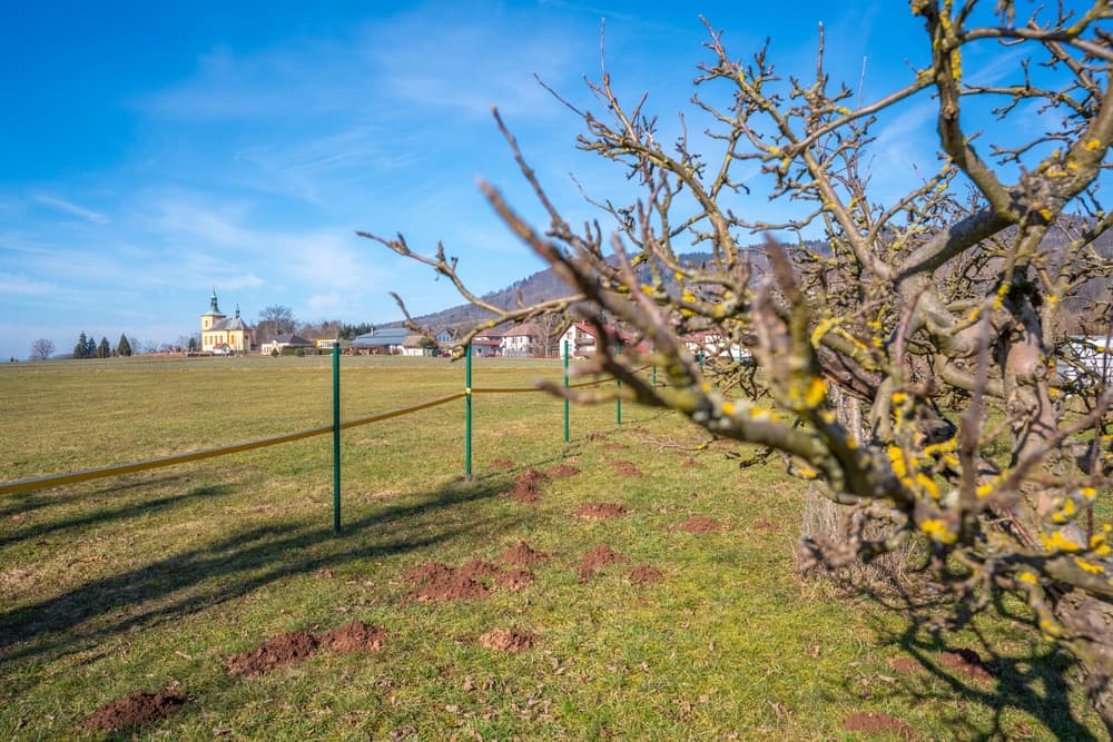 Stavební pozemek 5316 m² v obci Tatobity na úpatí nejvyšší hory Českého ráje Kozákova