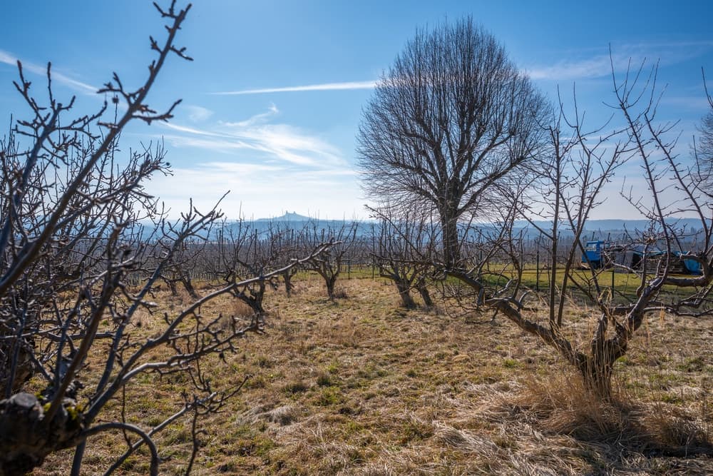 Stavební pozemek 5316 m² v obci Tatobity na úpatí nejvyšší hory Českého ráje Kozákova