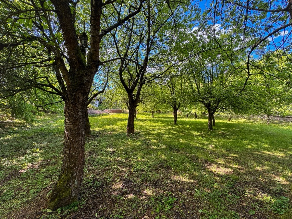Stavební pozemek 2709 m² v Turnově - Daliměřicích