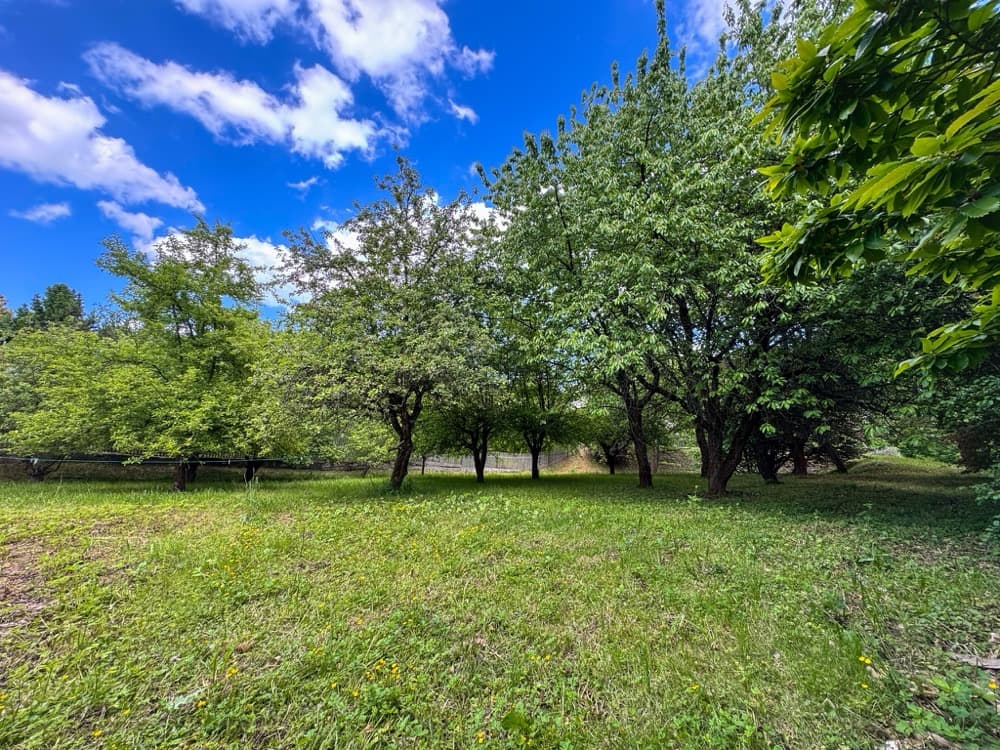 Krásný stavební pozemek 3 378 m² v Turnově - Daliměřicích