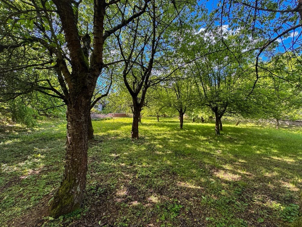 Krásný stavební pozemek 3 378 m² v Turnově - Daliměřicích