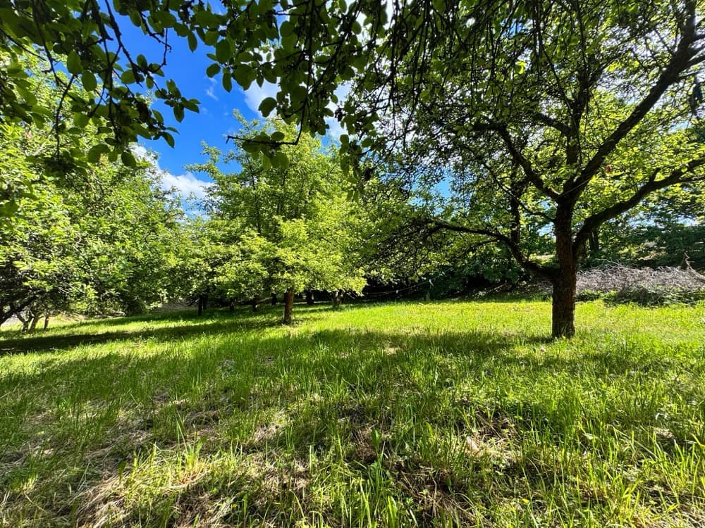 Krásný stavební pozemek 3 378 m² v Turnově - Daliměřicích