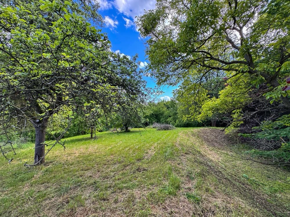 Krásný stavební pozemek 3 378 m² v Turnově - Daliměřicích